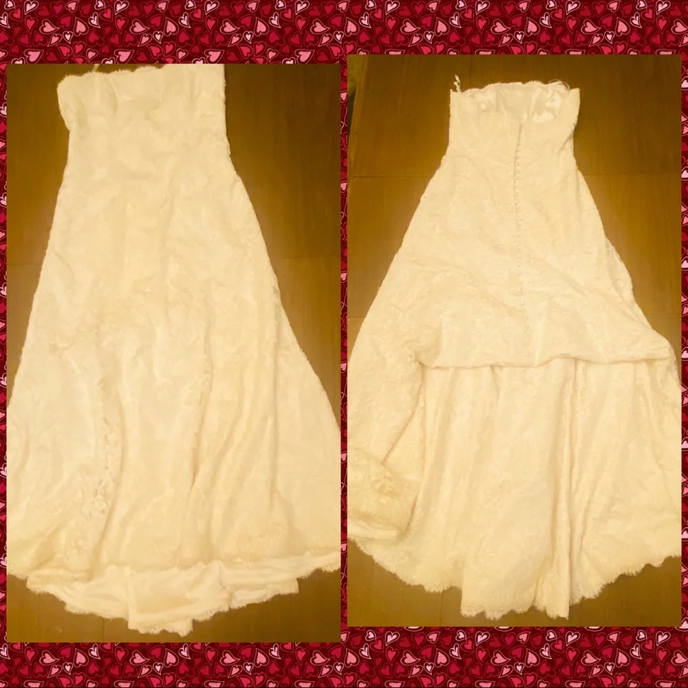 Monique Lhuillier Wedding Gown Dress - Picture 3 of 14